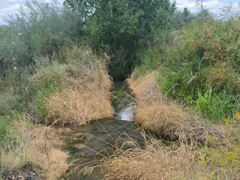 Terreno en Venta de 10000,0 m2