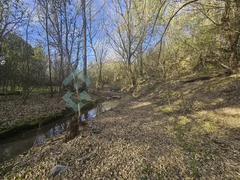 Terreno en Venta en Animi, USD 50.300