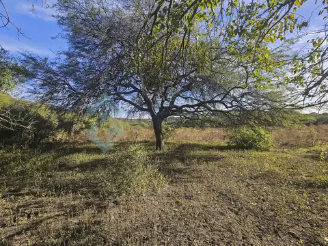 C.Virreynato al 1000