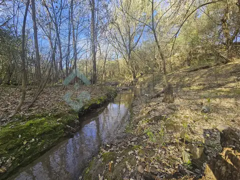 Terreno en Venta de 55000,0 m2