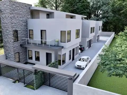 Carmen N De Avellaneda 300