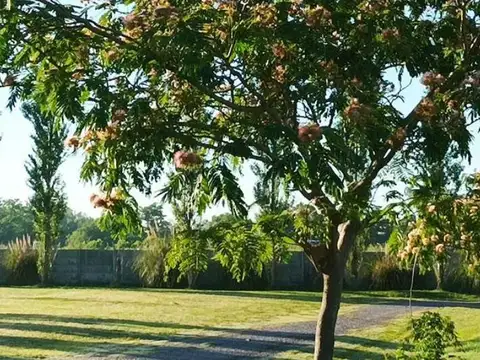 Terreno en Venta 30  mts Fondo