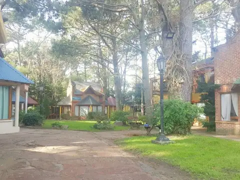 Las Cameliasn° 350(REF.180015)