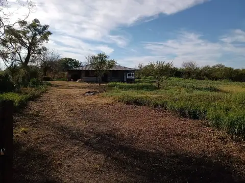 CORDOBA 100