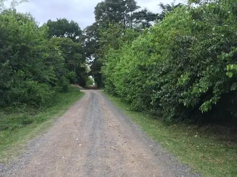 Terreno en Venta 30  mts Fondo