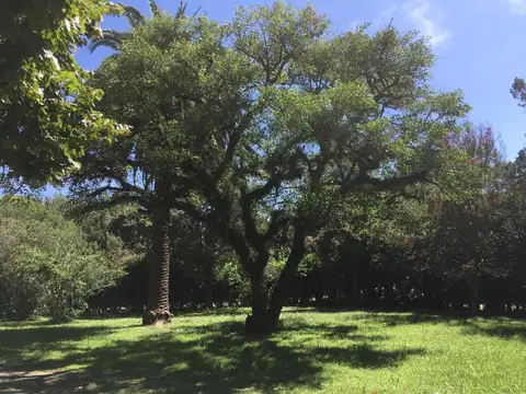 Lotes amplios en Marcos Paz