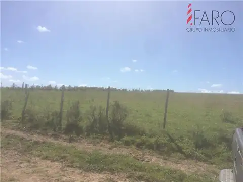 Campo en Venta Chacra