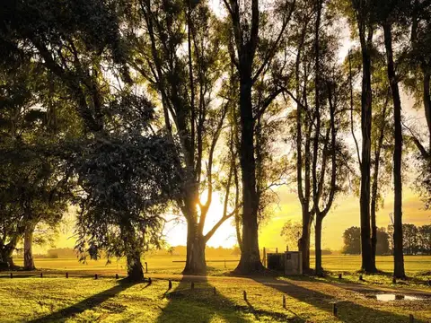 Chacras de San Andrés , Piso No definido