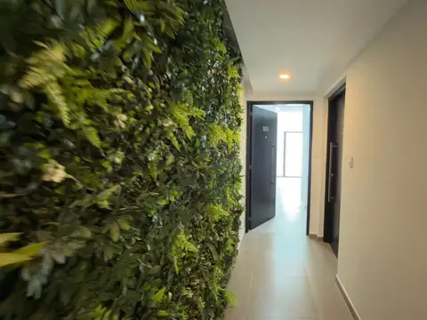 Zelada 6100