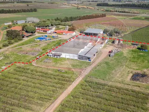 VENTA NAVE LOGÍSTICA SOBRE RUTA 5 CANELONES