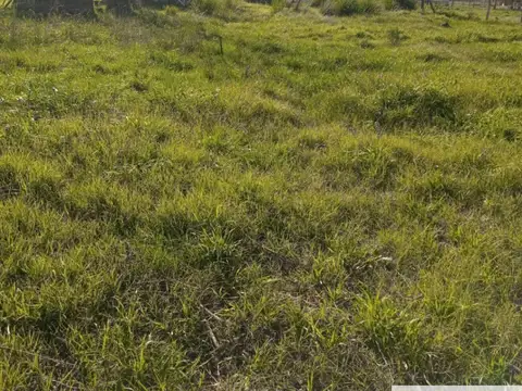 Terreno en Venta de 760,0 m2