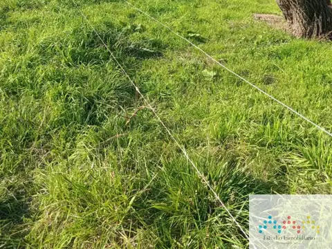 Terreno / Lote en venta de 760m2 ubicado en San Vicente