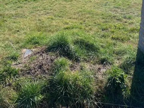 Venta Lote Barrio Laguna Azul Spegazzini / Financiacion