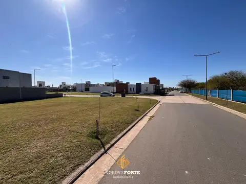 Lote En San Ignacio Village 100