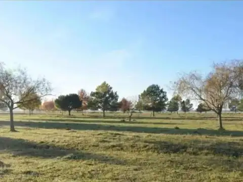 Terreno en Venta de 1000,0 m2