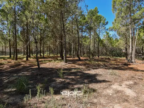 Venta Terreno en Marítimo IV Costa Esmeralda