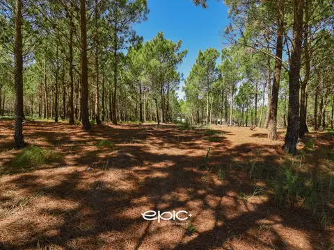 Terreno en Venta de 1037,0 m2