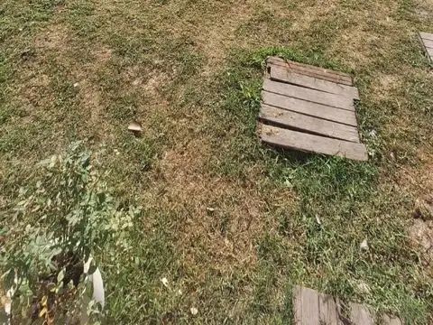 Casa de 2 dormitorios en Venta! Zona Norte