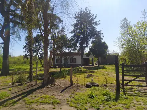 Av Patricicos y Las Acasias