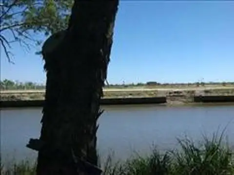 Avellaneda al 500 entre Quintana y Sarmiento
