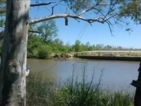 Terreno en Venta en Tigre Centro, USD 140.000