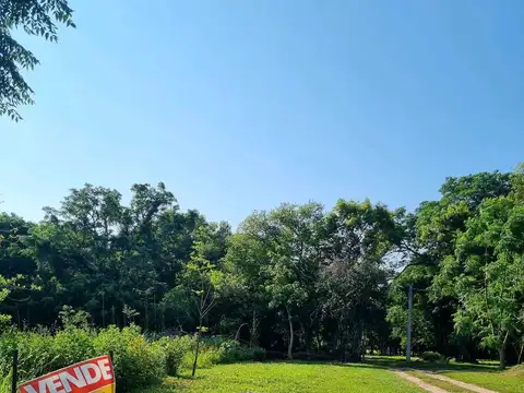 Monseñor Romero esquina Cocomarola Norte