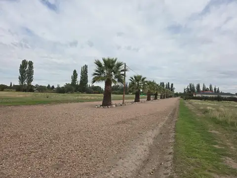 LOTES EN BARRIO PRIVADO LAS PAREDES - SAN RAFAEL