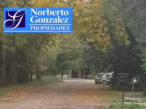 Segundo Sombra y Los Recuerdos