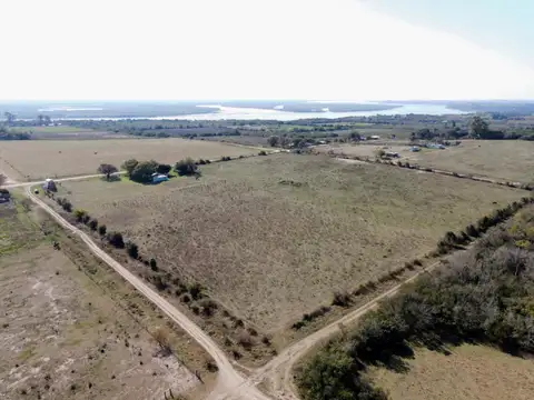 EXCELENTE INVERSION EN ALVEAR, DIAMANTE