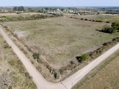 EXCELENTE INVERSION EN ALVEAR, DIAMANTE