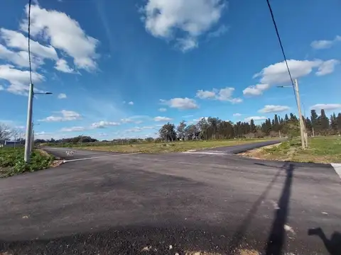 Arbolada del Camino de Las Flores. Ruta 16. Lote AN 24