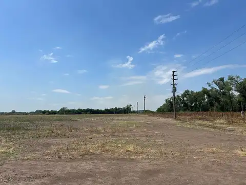Arbolada del Camino de Las Flores. Ruta 16. Lote AN 24
