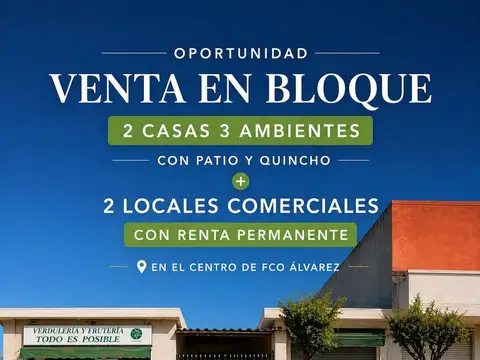 VENTA BLOQUE 2 CASAS 2 LOCALES FRANCISCO ALVAREZ
