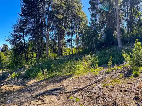 Terreno en Venta de 1209,0 m2