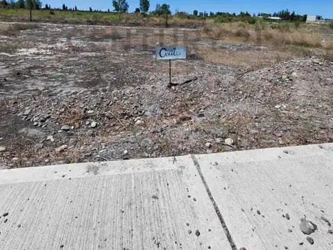 VENTA DE LOTE EN RIVADAVIA, MENDOZA.