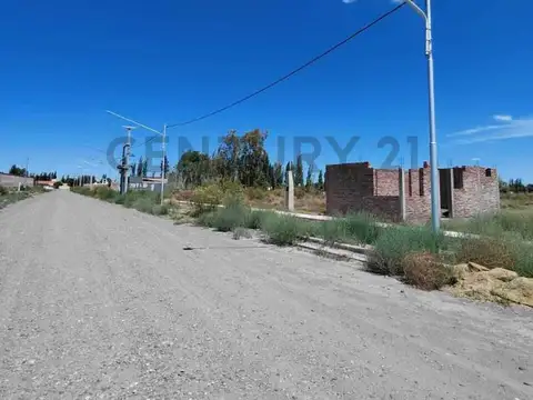 VENTA DE LOTE EN RIVADAVIA, MENDOZA.
