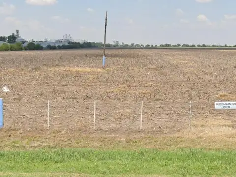 Campo en venta - 1 Hectárea - Armstrong