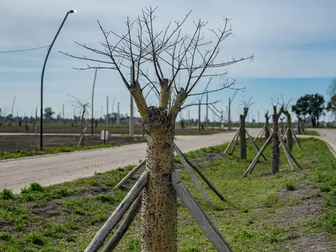 Terrenos en Neander, Barrio Abierto, Todos los Servicios y área Comercial, Villa Amelia