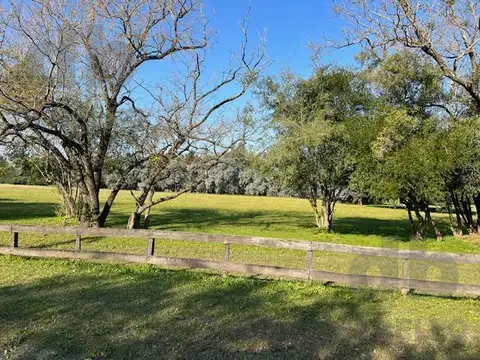 Terreno en Venta 176  mts Fondo