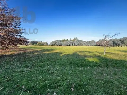 Venta Terreno Puerto Panal