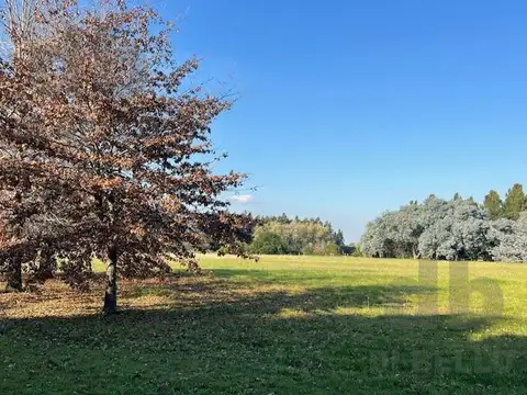 Venta Terreno Puerto Panal