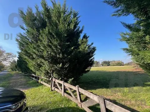 Terreno en Venta en Puerto Panal, USD 250.000