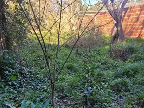 Terreno en Venta de 377,0 m2
