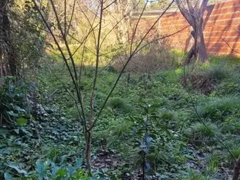 Terreno en Venta de 377,0 m2