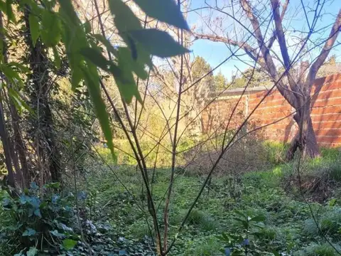 Venta - Lote  - Florencio Varela (Bosques)