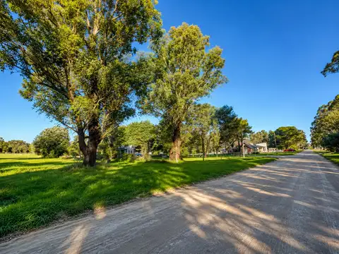 Terreno en Venta 52  mts Fondo