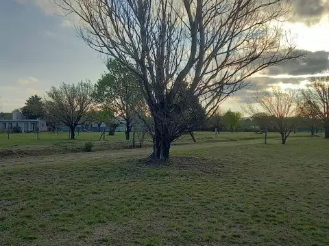 Terreno en Venta de 847,0 m2