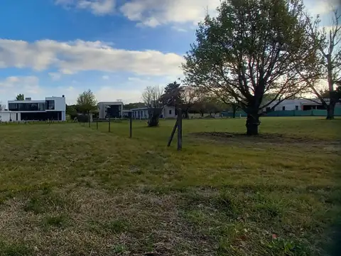 Terreno en Venta de 847,0 m2