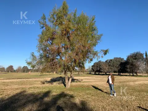 TERRENO-LOTE -VENTA-MIRABOSQUES- CARDALES