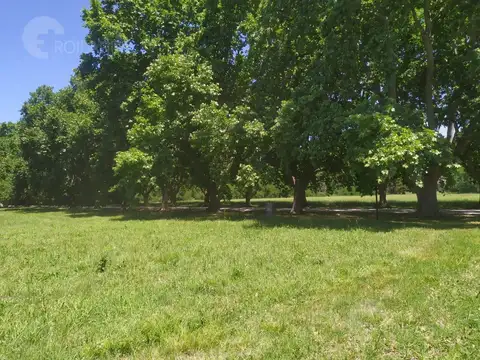 Terreno en Venta de 3397,0 m2